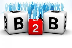B2B网站SEO优化技术共享(B2B网站搜索引擎营销方法)