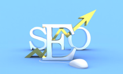 SEO的老司机们说:“SEO需要学习这些基础知识 ”