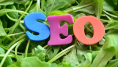 网站在搜索引擎里的排名下降了 我该怎么？