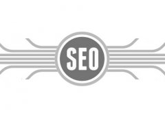 百度蜘蛛池科普：浅谈什么是SEO中的蜘蛛池，及作用弊端 新手做seo怎么做