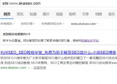 成都小玮SEO优化解析_百度快照劫持怎么做 新手做seo怎么做