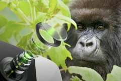 康宁发布大猩猩玻璃 DX/DX+：用作手机镜头镜片!