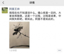 阿里王帅：我现在也不知道说什么，阿里不是如此的！