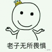 俄国新黑客组织很狂：搞事前就接受采访