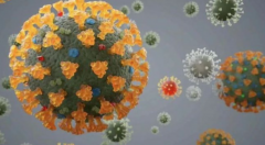 德尔塔”病毒到底有多可怕？