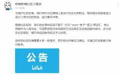 B站整治网络污名化词汇，情节恶劣者将被封号!