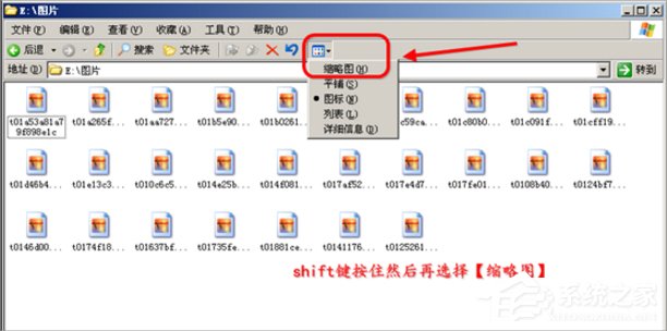 WinXP缩略图不显示文件名怎么办?
