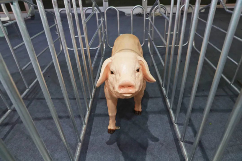 科大讯飞 1024 科博展多图剧透