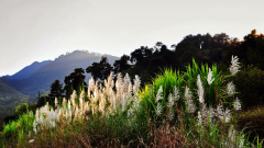 关于童年的美丽句子_关于童年的现代诗