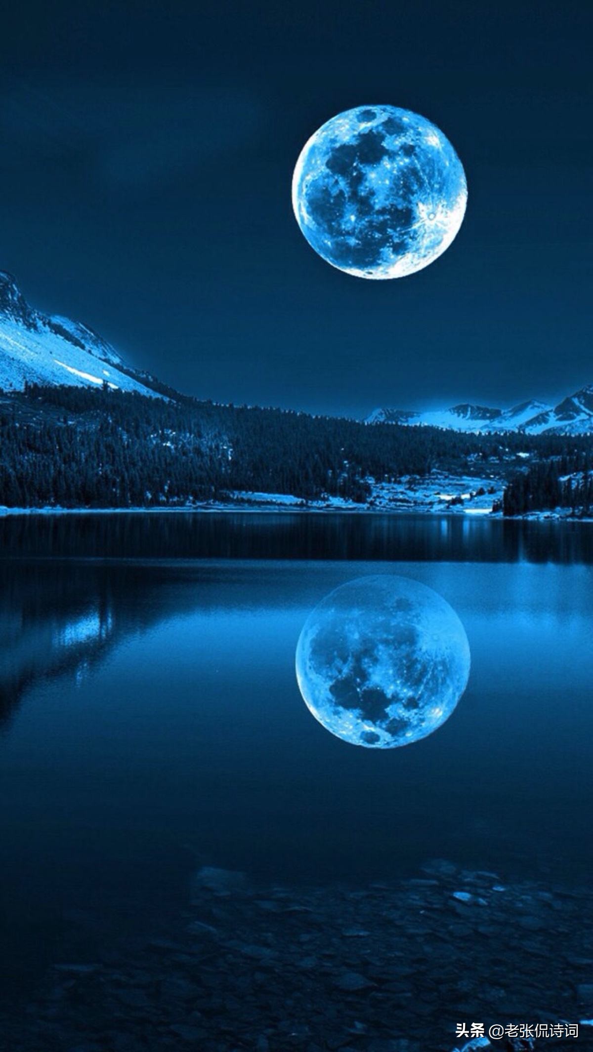 西江月世事一场大梦苏轼赏析（西江月世事大梦一场诗词赏析）