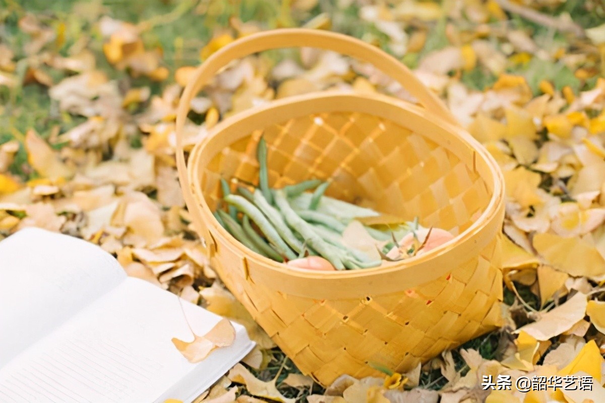 爱情是自私的句子（爱情是自私的经典语录）