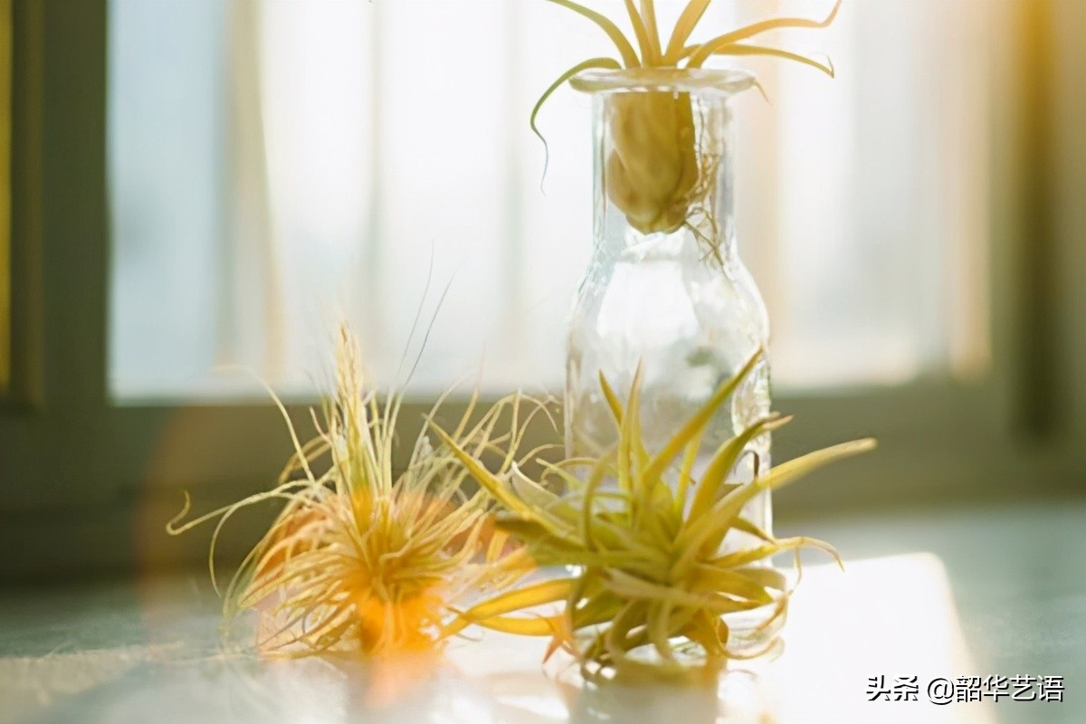 爱情是自私的句子（爱情是自私的经典语录）