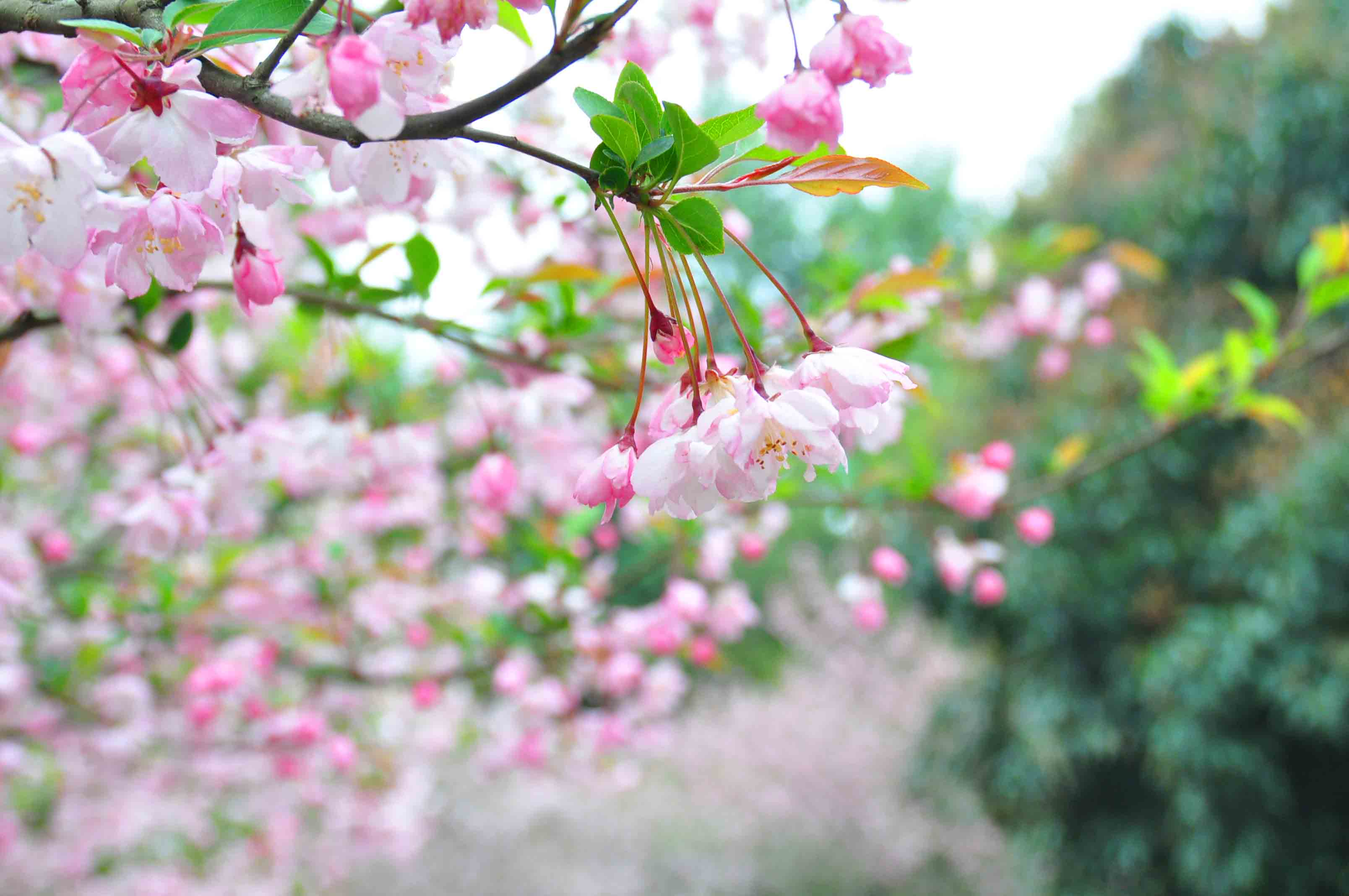 送别的诗句有哪些（最好的告别经典诗词）