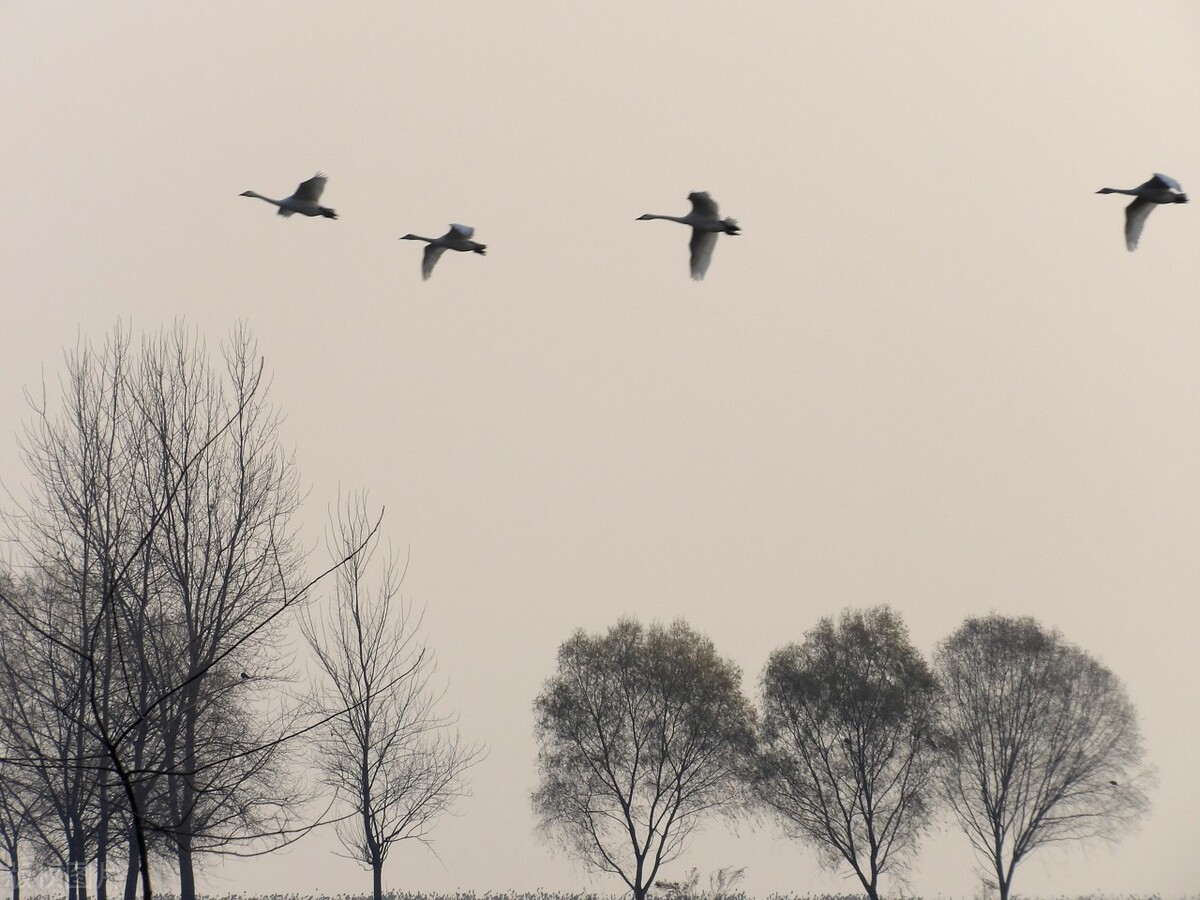 送别的诗句有哪些（最好的告别经典诗词）