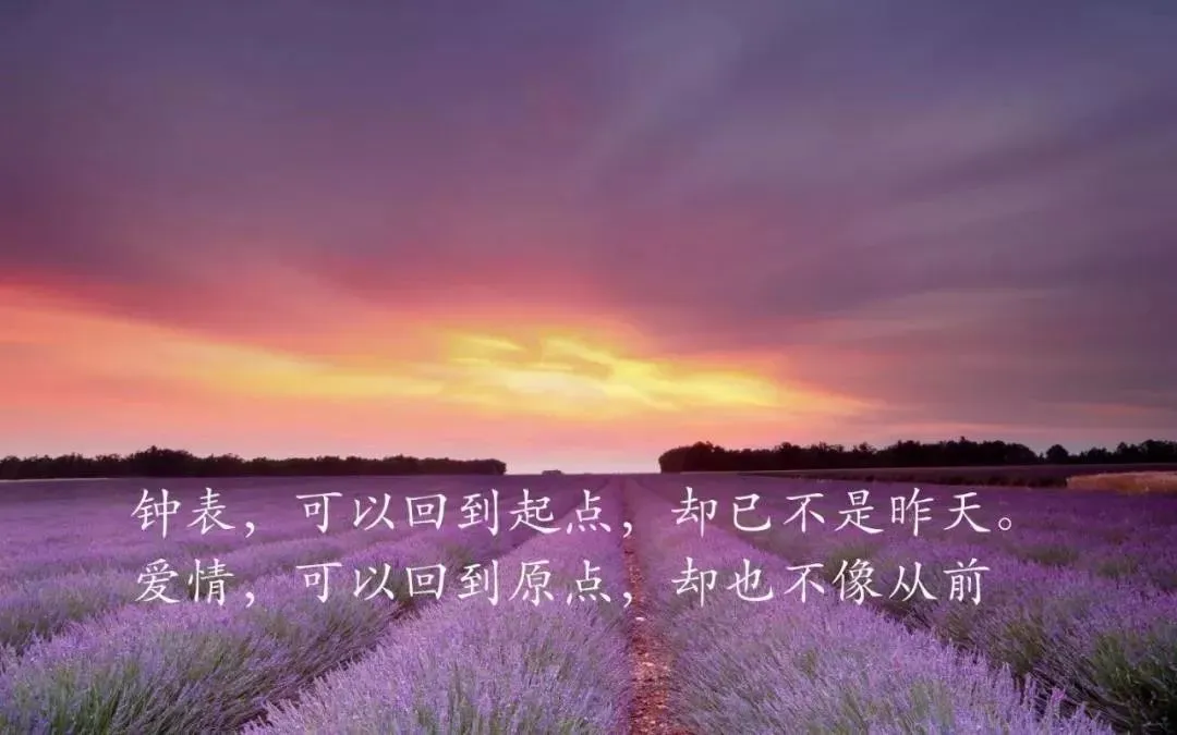 表达好久不见的句子（好久不见的简短语录）