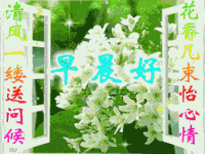 表达好久不见的句子（好久不见的简短语录）