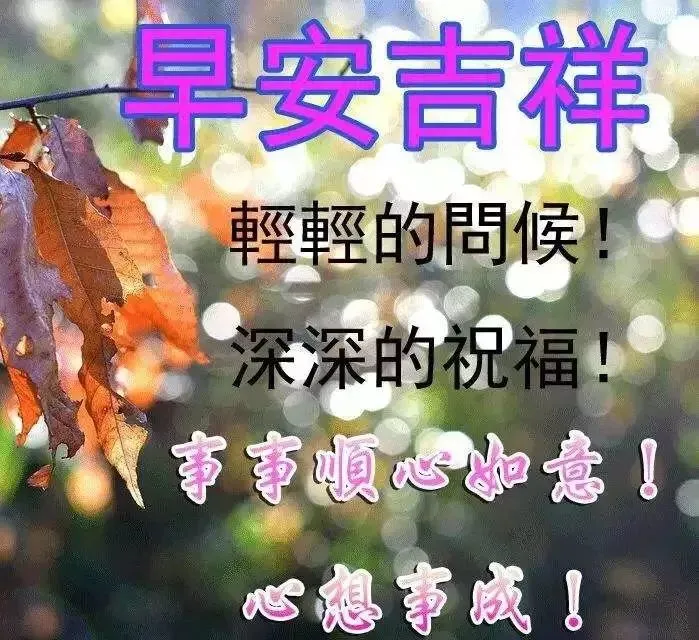 表达好久不见的句子（好久不见的简短语录）