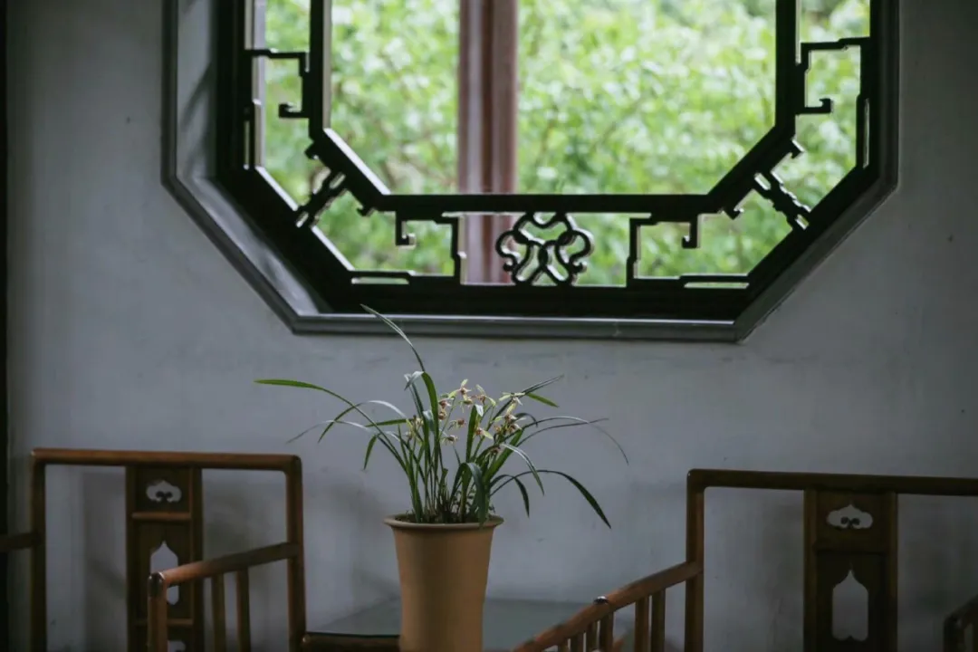 形容兰花的诗句古诗（赞美兰花的经典诗句）