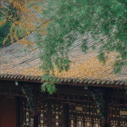 卜算子对包浩然的浙东鉴赏_卜算子对包浩然的评论