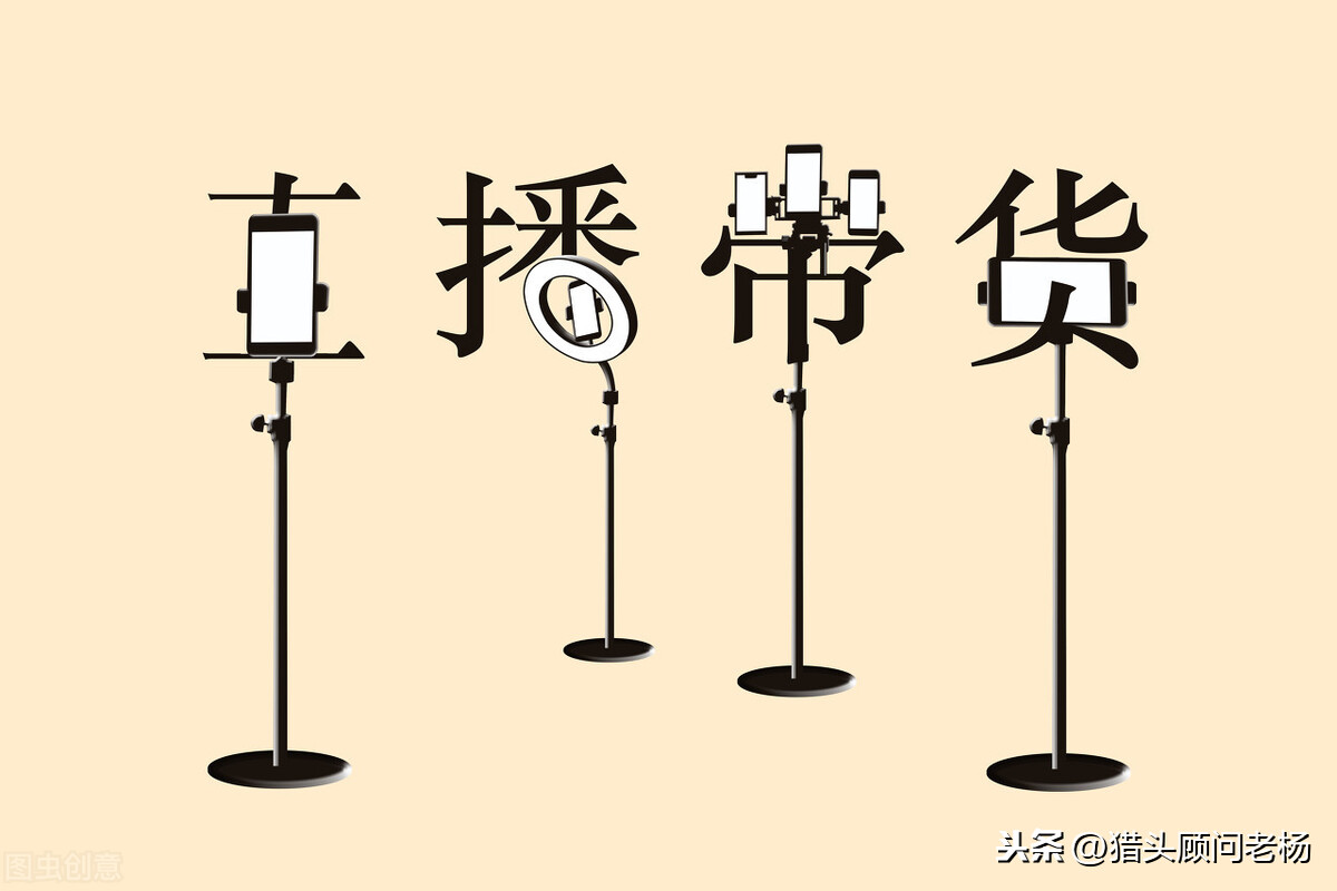 揭秘抖音涨粉技巧（抖音吸粉最快的方法）