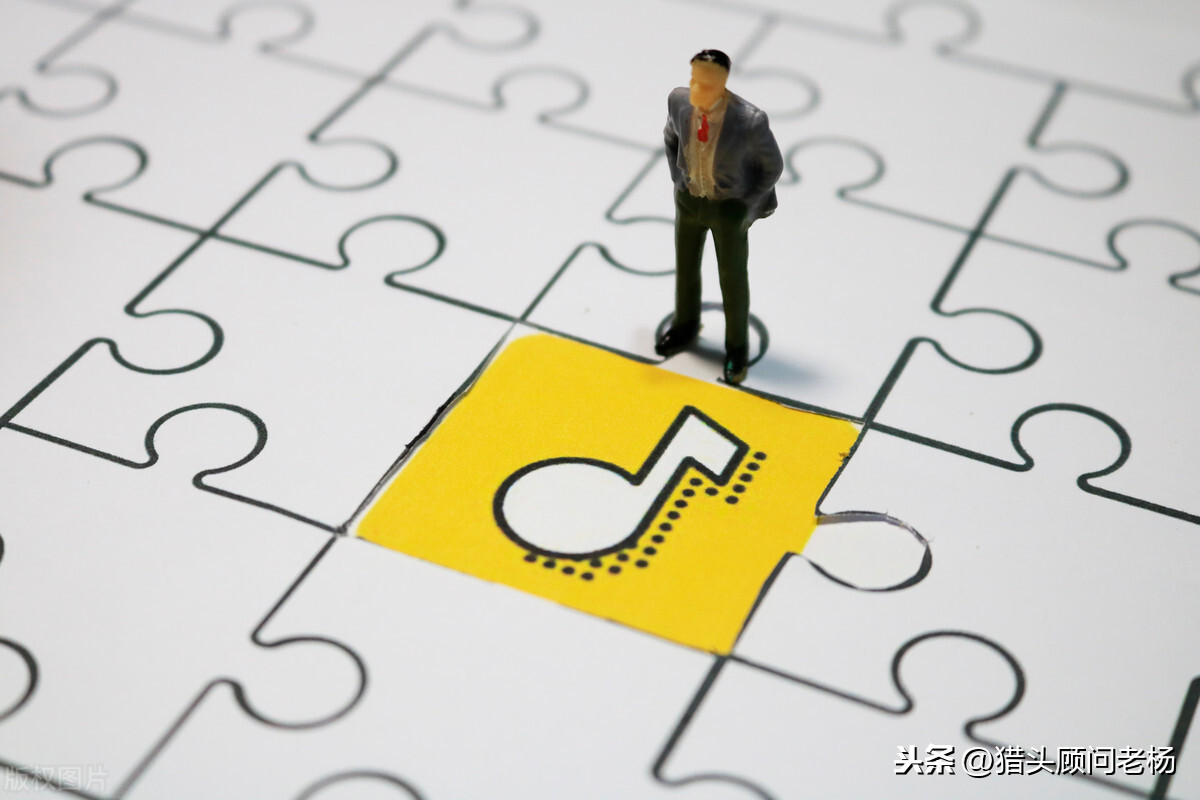 揭秘抖音涨粉技巧（抖音吸粉最快的方法）