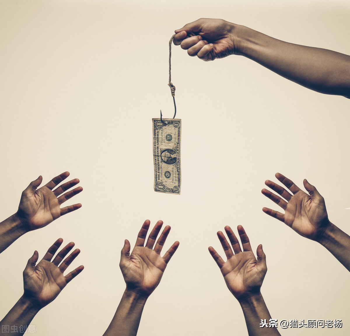 揭秘抖音涨粉技巧（抖音吸粉最快的方法）