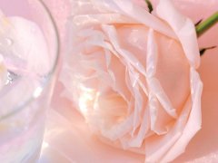 美意英语句子_治愈英语短句