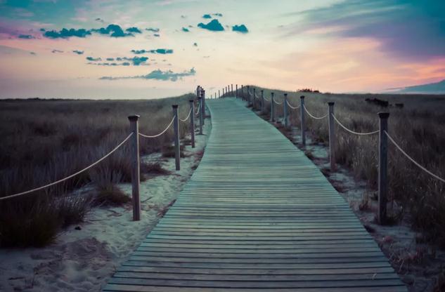 古诗名句经典励志(励志的经典古句)