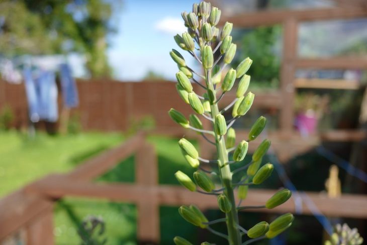 三星s4zoom相机参数(盘点手机相机中的异类)