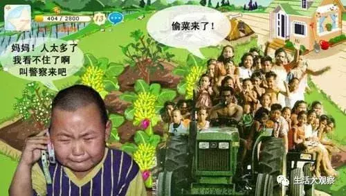 手机qq农场作物经验表（qq农场作物成熟时间表）