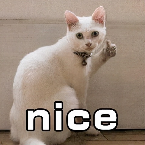 爱美刻视频制作软件(新媒体高效运营工具)