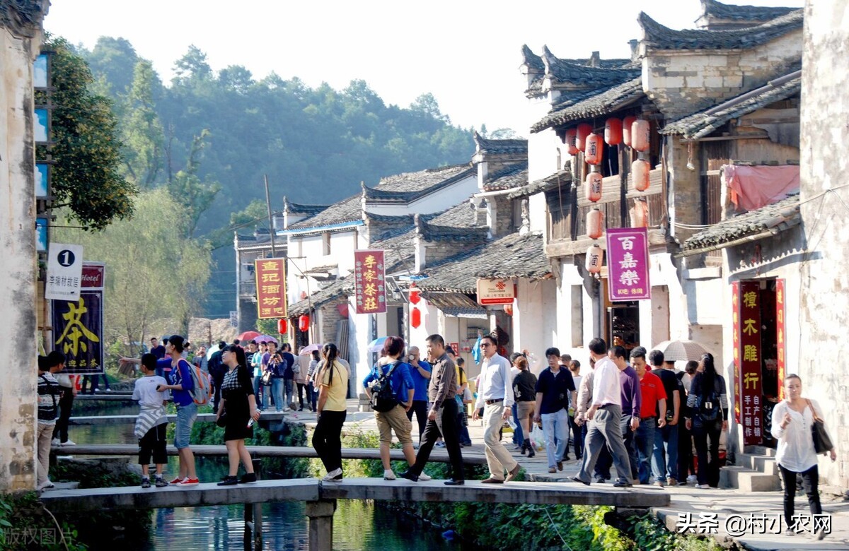 在农村干什么挣钱最快(在农村创业的方法)