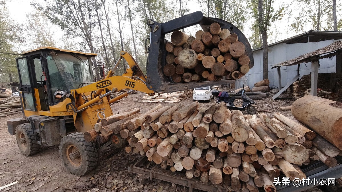 在农村干什么挣钱最快（在农村创业的方法）