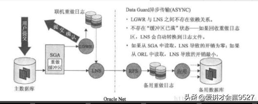 异步传输模式的两种交换技术（光纤分布式数据接口）