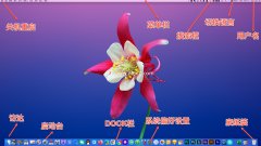 苹果电脑操作系统入门教程_苹果台式电脑的开机步骤
