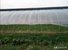 小摊有什么好卖的小吃_一个人开的小店