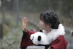 四川子琪文化公司守约之诉属实_谁辜负了谁？