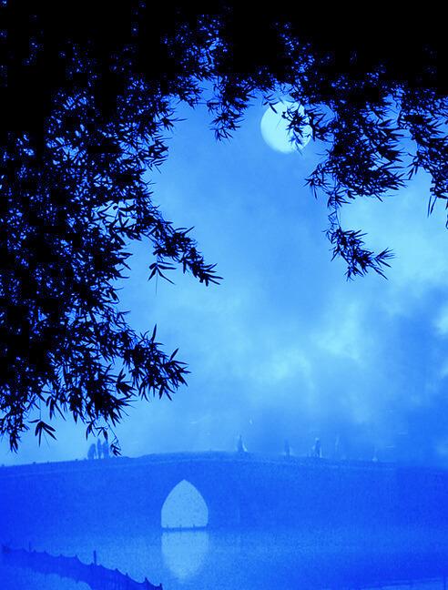 中秋节的好句摘抄（中秋节贺词祝福语简短）