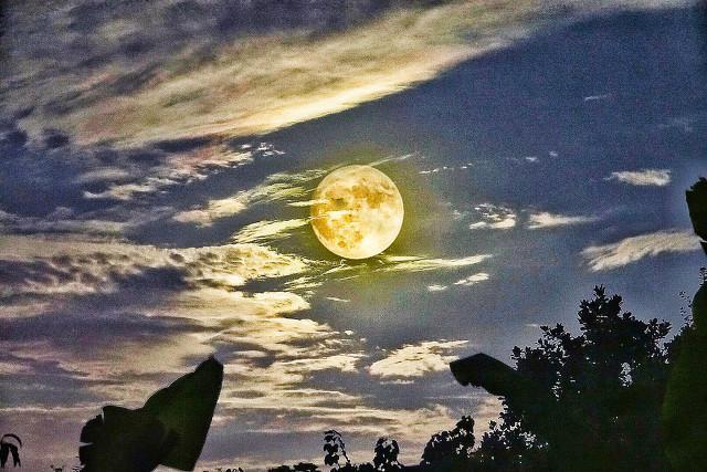 中秋节的好句摘抄（中秋节贺词祝福语简短）