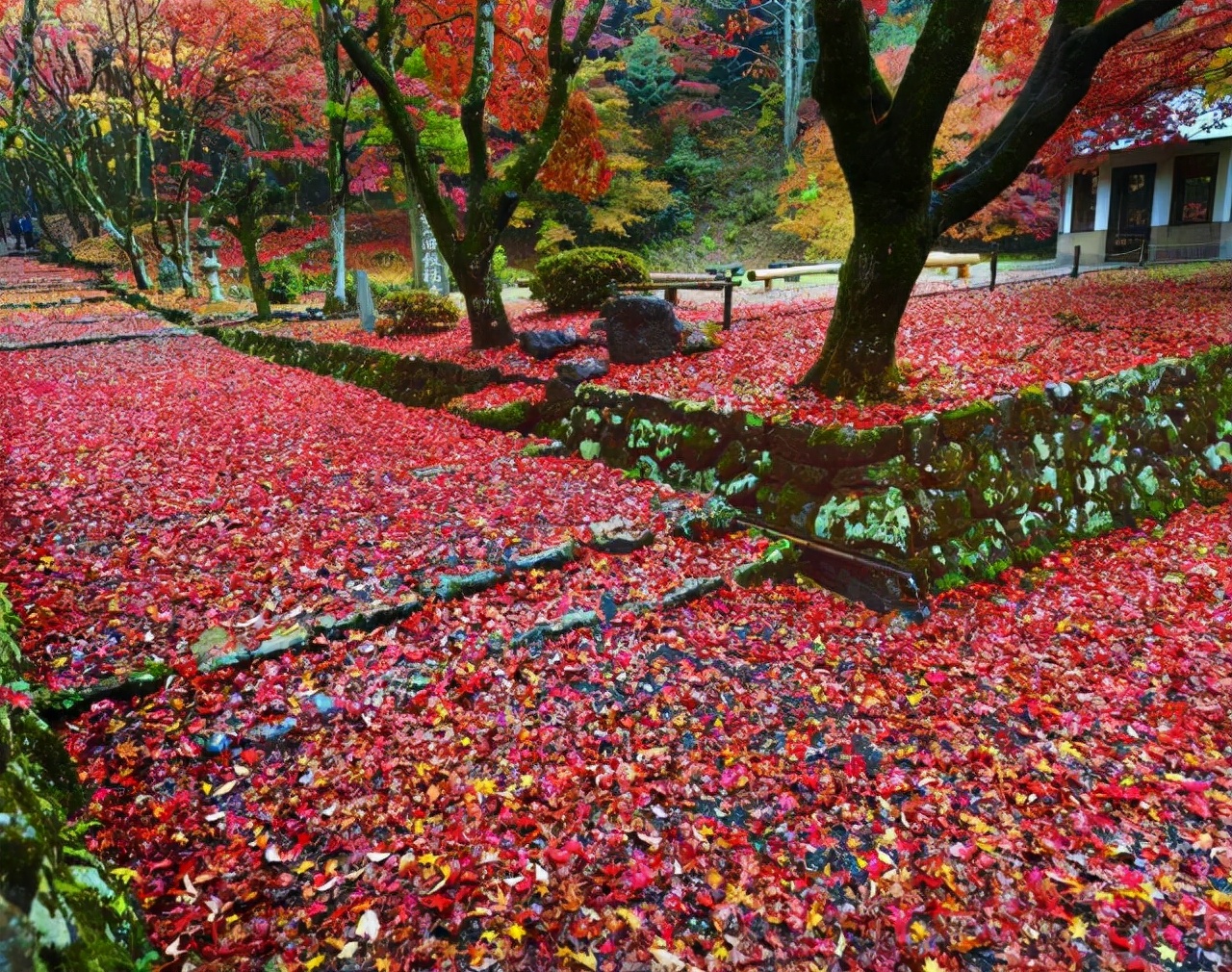 写秋天的诗词有哪些（关于秋天的经典诗句）