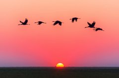 关于秋天的诗歌有哪些_关于秋天的经典诗歌？