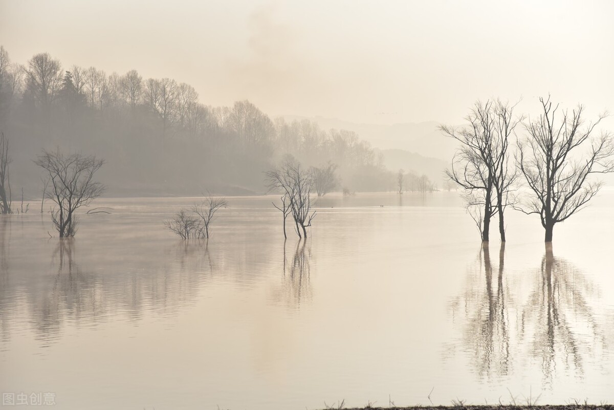 珍惜时间的古诗有哪些（关于珍惜时间的古诗大全）