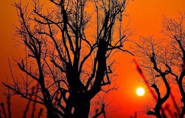 描写日落的诗句有哪些（赞美日落的诗句古诗）