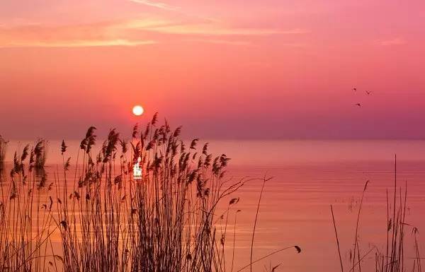 描写日落的诗句有哪些（赞美日落的诗句古诗）