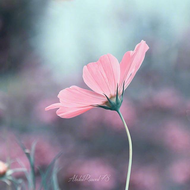 生活的句子说说心情（正能量励志人生感悟）