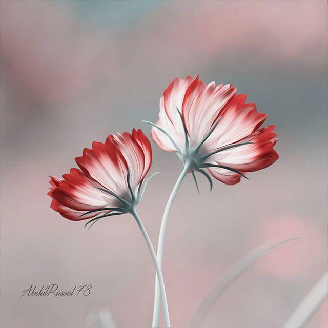 生活的句子说说心情（正能量励志人生感悟）