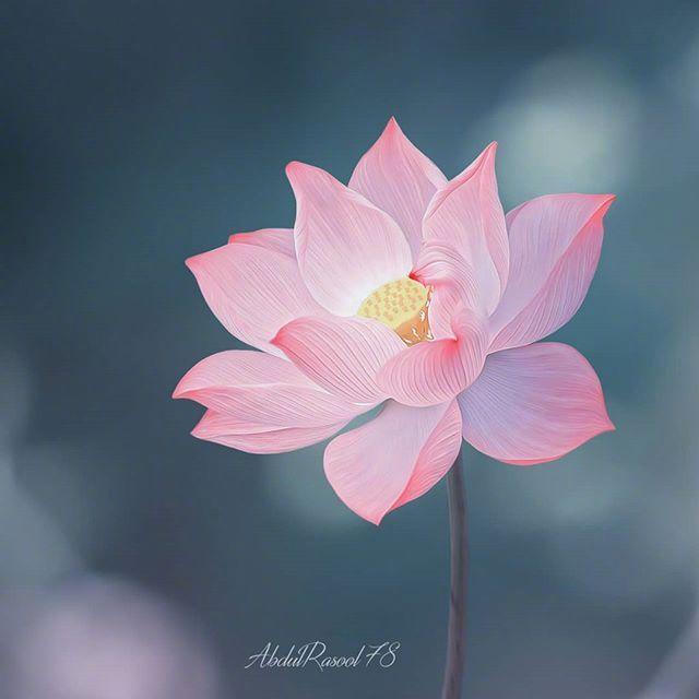 生活的句子说说心情（正能量励志人生感悟）