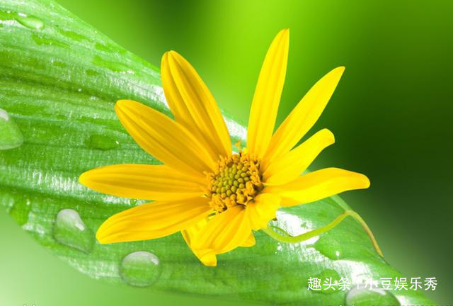 展望未来的励志诗句（展望未来八个字激励短句）