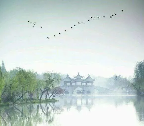 鸟语花香的诗句（描写花香的诗句）