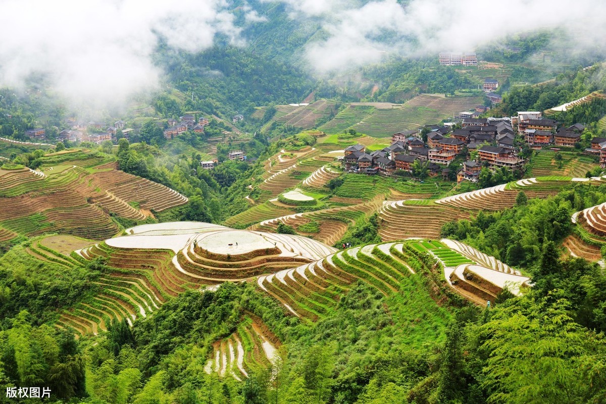 关于乡村的诗句有哪些（乡村诗句大全唯美）